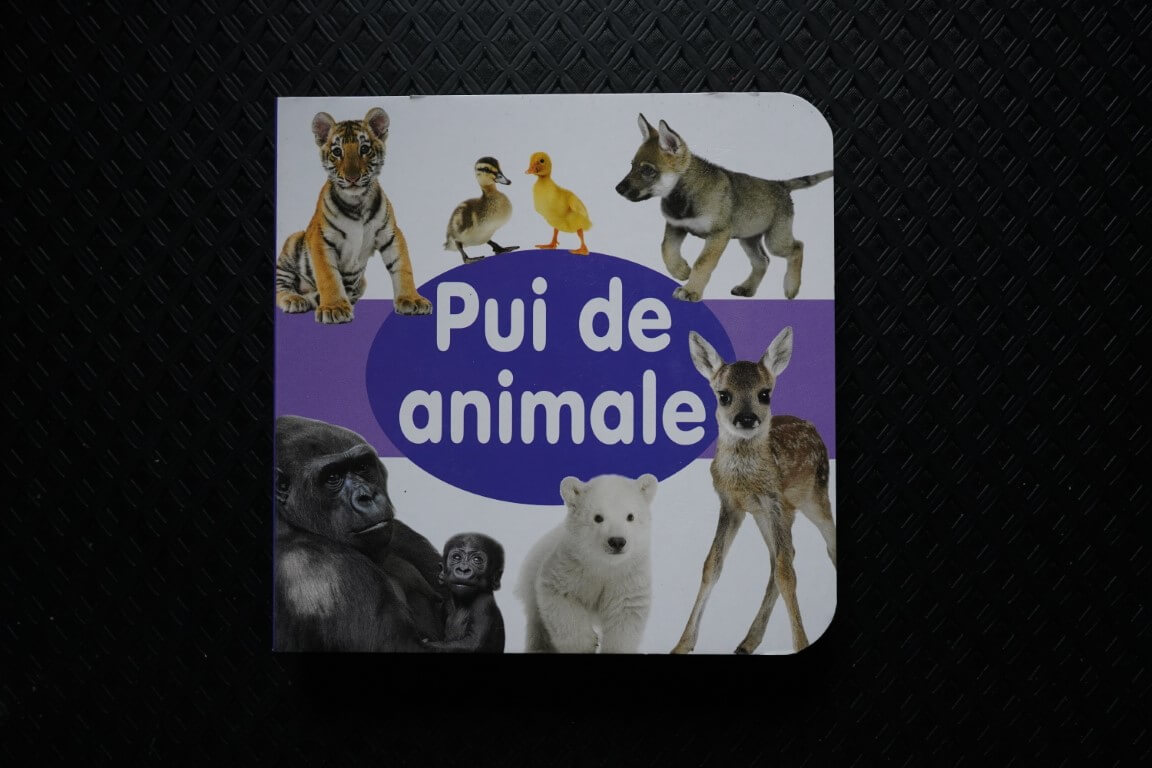 PUI DE ANIMALE CARTONATĂ